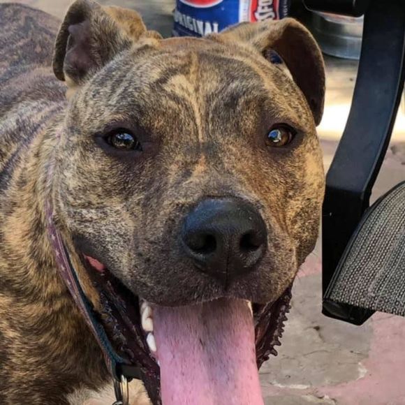 Meet your Posher, Jen - Picture 1 of 1